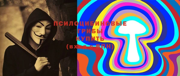 твердый Богородск