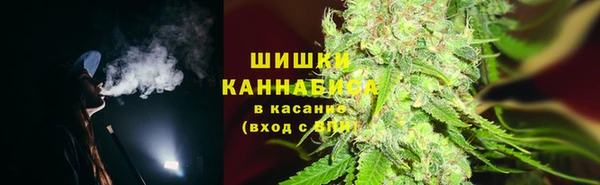 твердый Богородск