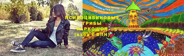 тгк Богданович