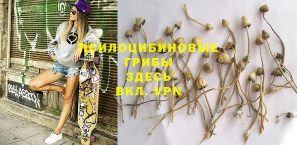 тгк Богданович