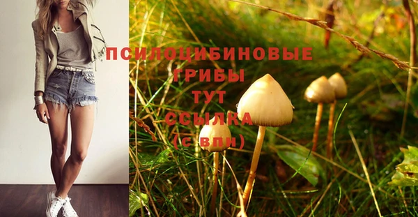 тгк Богданович