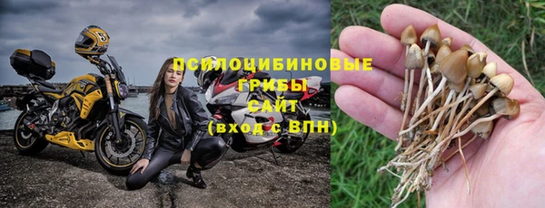 не бодяженный Богородицк