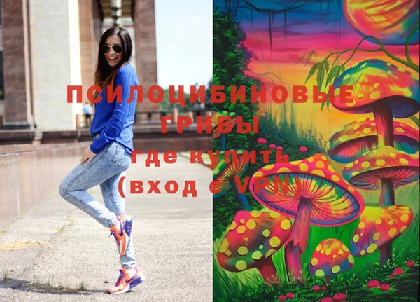 твердый Богородск
