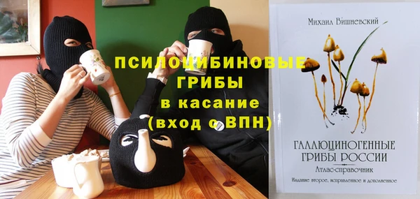 не бодяженный Богородицк