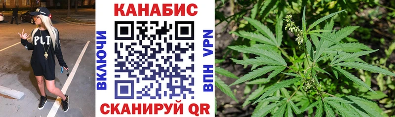 Купить закладки  Ангарск  Бошки марихуана SATIVA & INDICA 